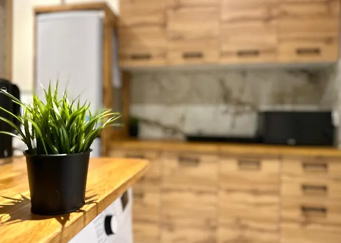 Mmrent Samurai Gdańsk